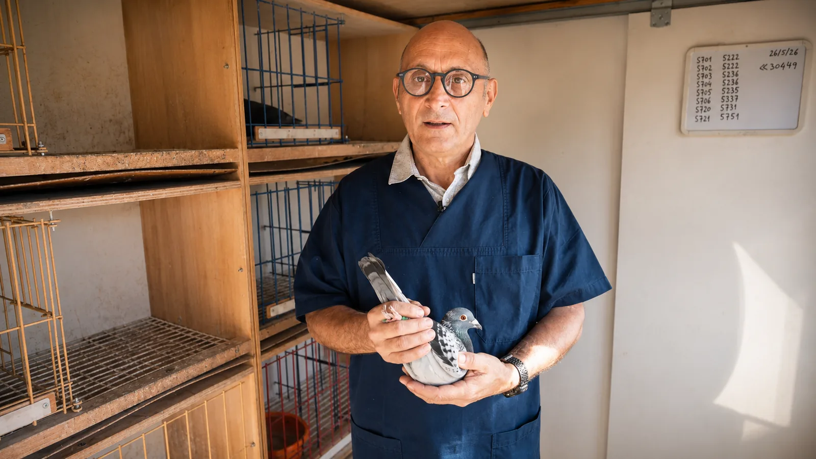 Éleveur en blouse bleue tenant un pigeon dans son pigeonnier.